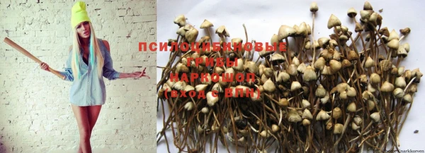 тгк Абдулино