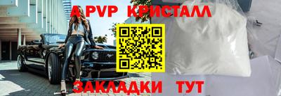 дмт Гай