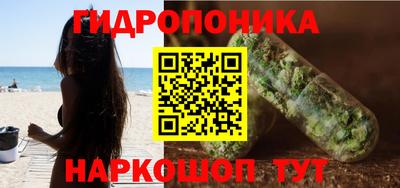дмт Гай