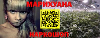 дмт Гай