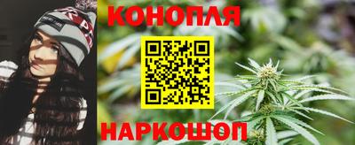 дмт Гай