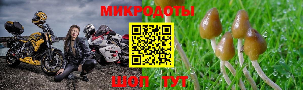 Галлюциногенные грибы Cubensis Ступино
